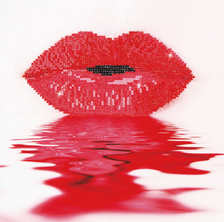 Diamond Dotz Complete Diamond Facet Art Kit Hot Lips