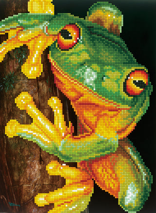 Diamond Dotz Complete Diamond Facet Art Kit Green Tree Frog