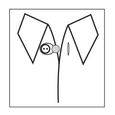 Hemline White Collar Extenders 12mm