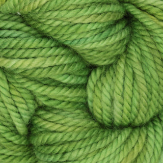 The Oxford Company Yarn: Punch Needle: Rug Yarn: Variegated: Leaf Me Alone