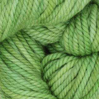 The Oxford Company Yarn: Punch Needle: Rug Yarn: Variegated: Spring Buds
