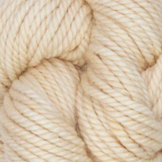 The Oxford Company Yarn: Punch Needle: Rug Yarn: Variegated: Caribbean Sands