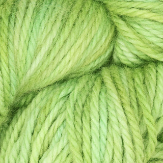 The Oxford Company Yarn: Punch Needle: Fine Yarn: Variegated: Spring Buds