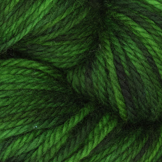 The Oxford Company Yarn: Punch Needle: Fine Yarn: Variegated: Club Moss Dark
