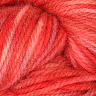The Oxford Company Yarn: Punch Needle: Fine Yarn: Variegated: Red Snapper
