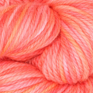 The Oxford Company Yarn: Punch Needle: Fine Yarn: Variegated: Tea Party