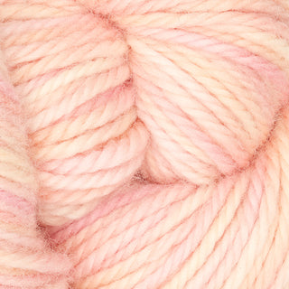 The Oxford Company Yarn: Punch Needle: Fine Yarn: Variegated: Cheeky Monkey