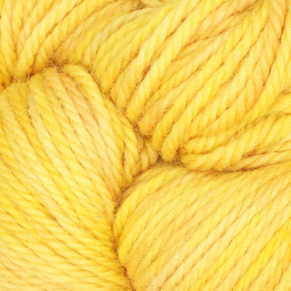 The Oxford Company Yarn: Punch Needle: Fine Yarn: Variegated: Lemon Zest