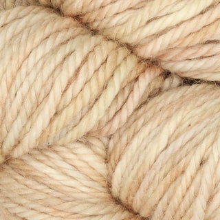 The Oxford Company Yarn: Punch Needle: Fine Yarn: Variegated: Tumble Weed