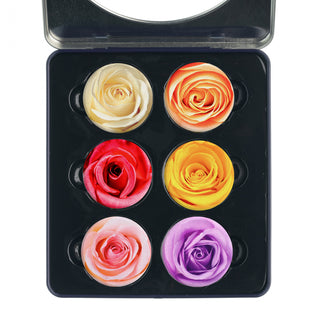 The Quilted Bear Pattern Weight Set – Scratch-Resistant Fabric Weights for Secure Pattern Cutting, Sewing Supplies & Quilting Supplies (TQB - Roses)