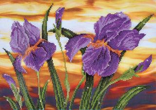 Diamond Dotz Complete Diamond Facet Art Kit Iris Sunset