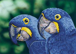 Diamond Dotz Complete Diamond Facet Art Kit Blue Hyacinth Macaws