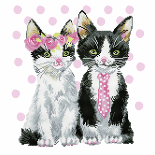 Diamond Dotz Diamond Painting Kit: Mr & Mrs Pink
