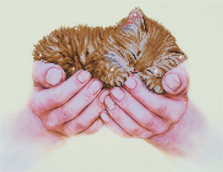 Diamond Dotz Complete Diamond Facet Art Kit Precious Kitten