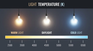 Siesta Energy Saving Daylight Bulb 20W ES