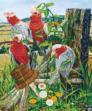 Diamond Dotz Complete Diamond Facet Art Kit Galah Quartet