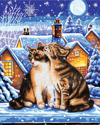 Diamond Dotz Complete Diamond Facet Art Kit Stars And Whiskers