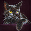 Diamond Dotz Complete Diamond Facet Art Kit Midnight Cat - DD5.001