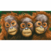 Diamond Dotz Complete Diamond Facet Art Kit Oranging Around - DD8.002 - Image 2