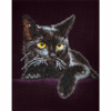 Diamond Dotz Complete Diamond Facet Art Kit Midnight Cat - DD5.001 - Image 2
