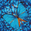 Diamond Dotz Complete Diamond Facet Art Kit Flutter By Blue - DD5.014