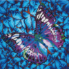 Diamond Dotz Complete Diamond Facet Art Kit Flutter By Mauve - DD5.017 - Image 2