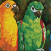 Diamond Dotz Complete Diamond Facet Art Kit Rainbow Parrots - DD10.025