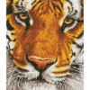 Diamond Dotz Complete Diamond Facet Art Kit Bengal Magic - DD8.001 - Image 2