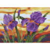 Diamond Dotz Complete Diamond Facet Art Kit Iris Sunset - DD9.016 - Image 2