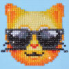 Diamond Dotz Complete Diamond Facet Art Kit Kool Kat - DD1.010