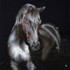 Diamond Dotz Complete Diamond Facet Art Kit Midnight Stallion - DD10.012
