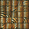 Diamond Dotz Complete Diamond Facet Art Kit Wild - DD9.025