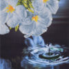 Diamond Dotz Complete Diamond Facet Art Kit Water Droplet - DD5.019