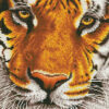 Diamond Dotz Complete Diamond Facet Art Kit Bengal Magic - DD8.001